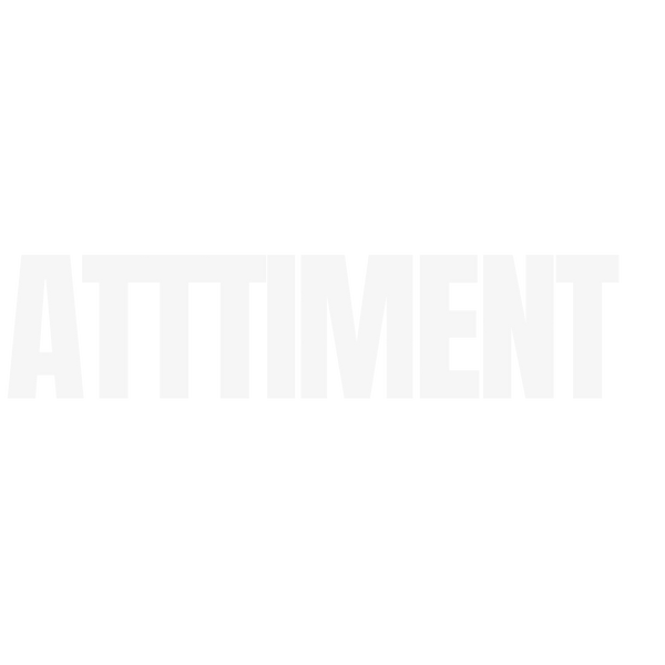 ATTTIMENT